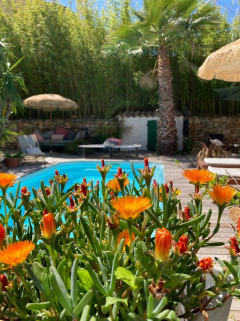 Maison d hôtes LA VILLA MADELEINE Bed and Breakfast in Sanary-sur-Mer