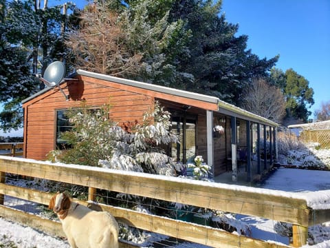 Property building, Winter, View (from property/room), Pets