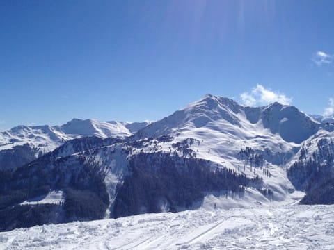 Day, Natural landscape, Winter