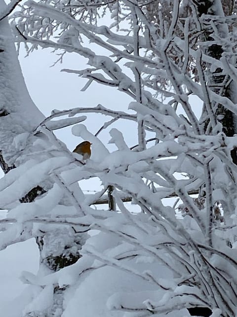 Chalet Le Grand Cerf Chalet in Wallonia, Belgium