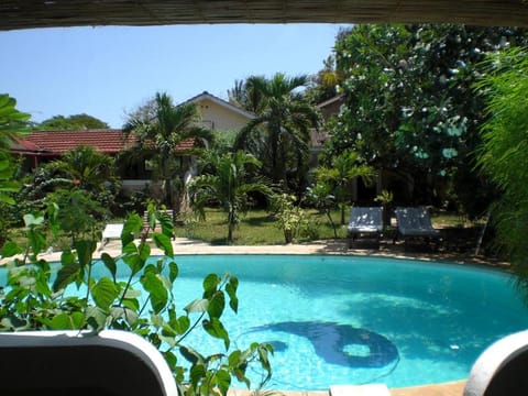 Garden, Garden view, Pool view, Swimming pool