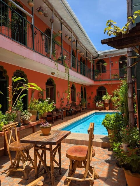 Garden, Pool view, Swimming pool