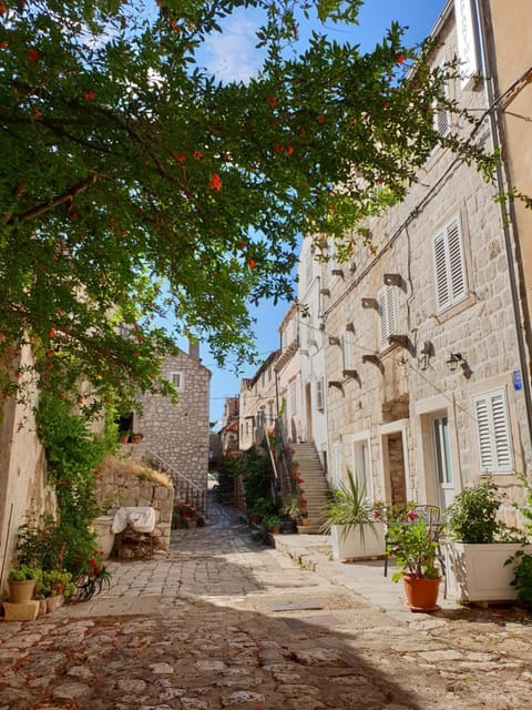 Property building, Day, Neighbourhood, Street view, Location