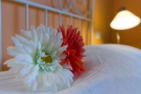 casa ursula a 800 m dal mare Apartment in Chia