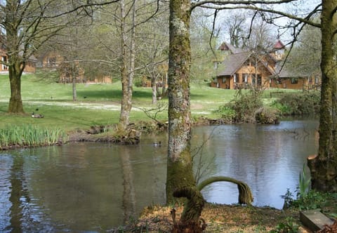 Lake view