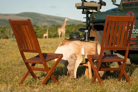 Day, Natural landscape, Animals