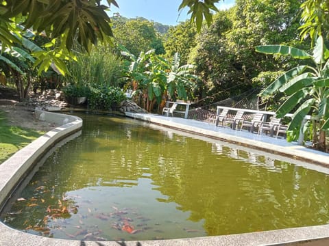 Garden, Garden view, Pool view, Swimming pool, Swimming pool