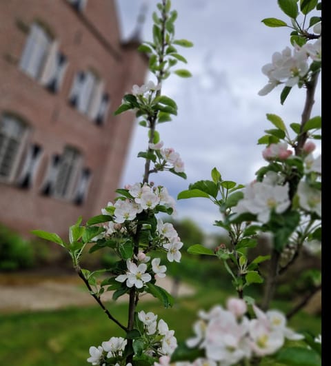 Kasteel Aldenghoor Bed and Breakfast in Limburg (province)