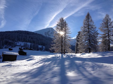 Fewo Steinbachhaus Apartment in Chur
