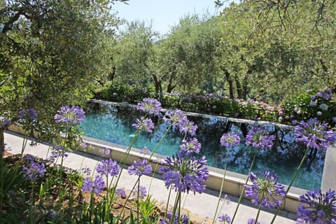 Garden, Swimming pool
