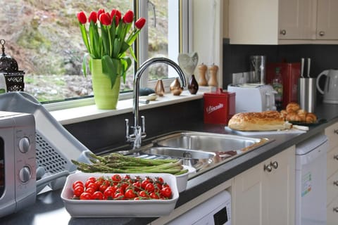 Kitchen or kitchenette, Food and drinks, Food, dishwasher, minibar, pet friendly, stove