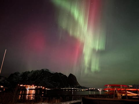 Lofoten Bed & Breakfast Reine - Rooms & Apartments Bed and Breakfast in Lofoten