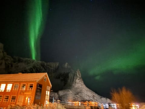 Lofoten Bed & Breakfast Reine - Rooms & Apartments Bed and Breakfast in Lofoten