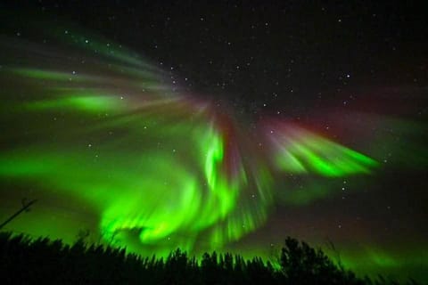 Villa Kemihaara House in Rovaniemi