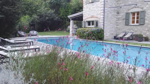 Garden, Swimming pool