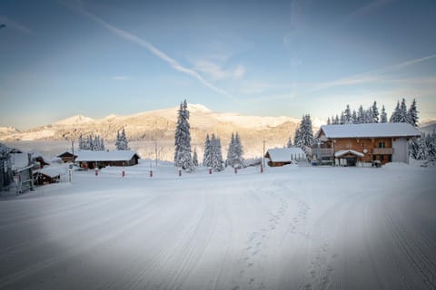 Property building, Natural landscape, Winter, Mountain view