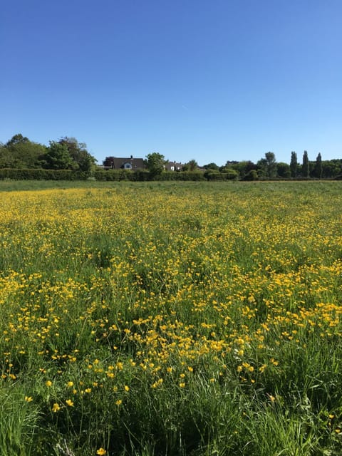 The Barn Bed and Breakfast Bed and Breakfast in Widnes