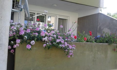 Patio, Balcony/Terrace, Area and facilities