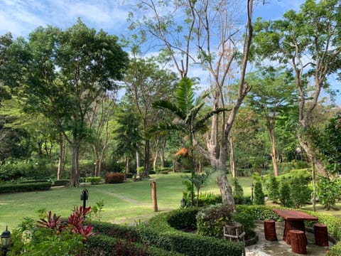 Garden, Garden view