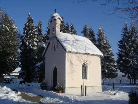 Pension Gut Horn Bed and Breakfast in Berchtesgadener Land