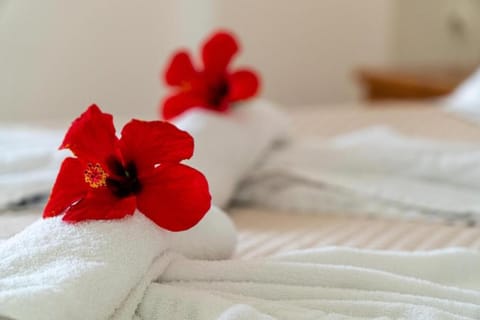 Arillas Dream Studios Apartment in Corfu, Greece