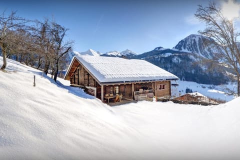 Property building, Day, Natural landscape, Winter, Mountain view