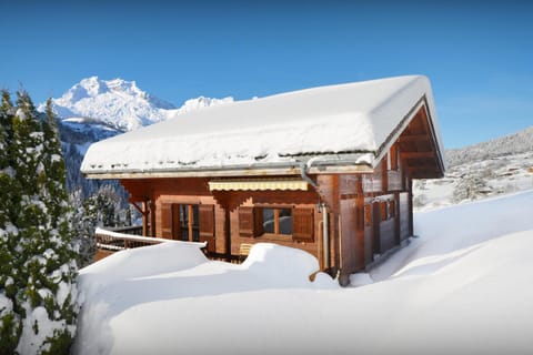 Property building, Day, Natural landscape, Winter, Mountain view