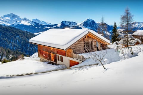 Property building, Facade/entrance, Natural landscape, Winter, Mountain view