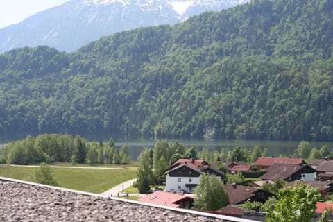 Lake view, Mountain view