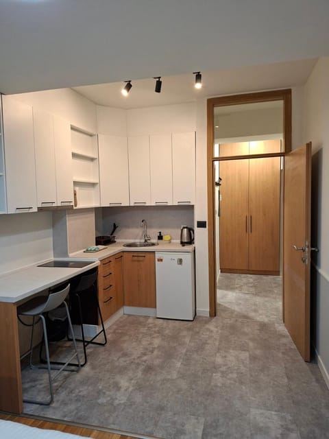 Kitchen or kitchenette, Dining area, oven, stove