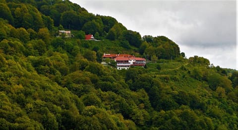 Property building, Natural landscape