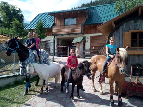 Horse-riding, Pets