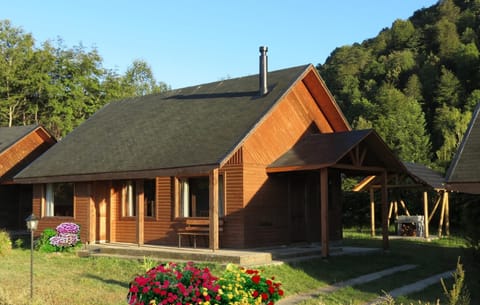 Garden, Swimming pool