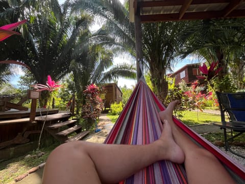 Garden, Swimming pool