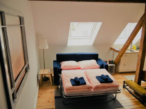 Cityhouse Nauwies Apartment in Saarbrücken