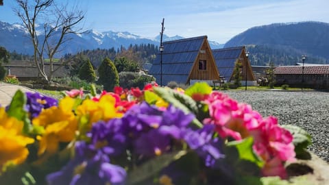 Property building, Natural landscape, Mountain view