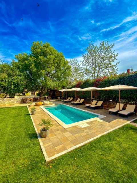 Summer, Garden, Garden, Garden view, Garden view, Swimming pool, Sunrise, Sunset