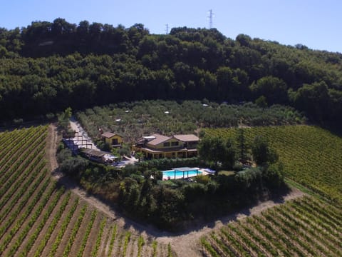 Off site, Bird's eye view