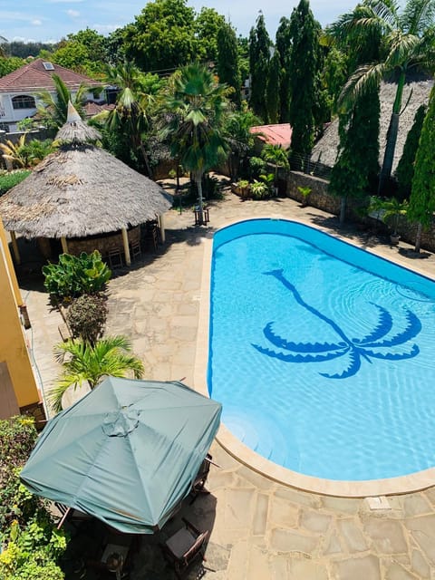 Day, Summer, Garden, Garden view, Pool view, Swimming pool, Swimming pool, Swimming pool, sunbed
