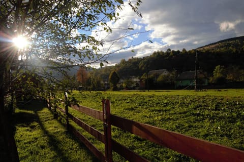 Garden view, Mountain view, Street view