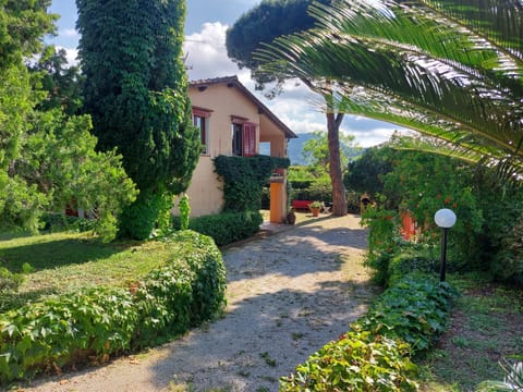 Property building, Garden