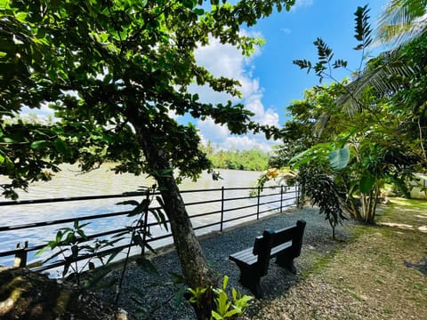 Natural landscape, Garden, Garden view, Lake view, River view