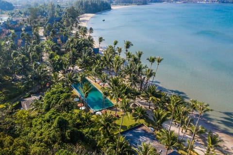 Day, Natural landscape, Bird's eye view, Beach, On site, Swimming pool, Swimming pool