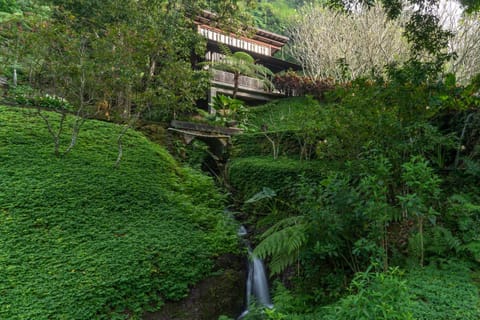 Property building, Garden, Garden view