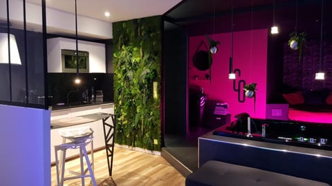 Le Clair Obscur Apartment in Nantes