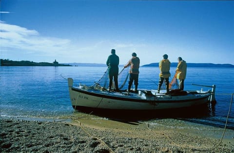 People, Fishing, Beach