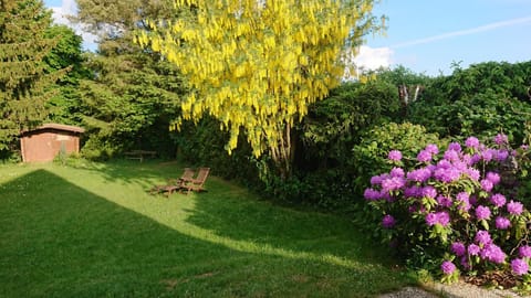 Ferienhaus-Freilingen House in Rhineland-Palatinate