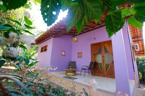 Patio, Facade/entrance