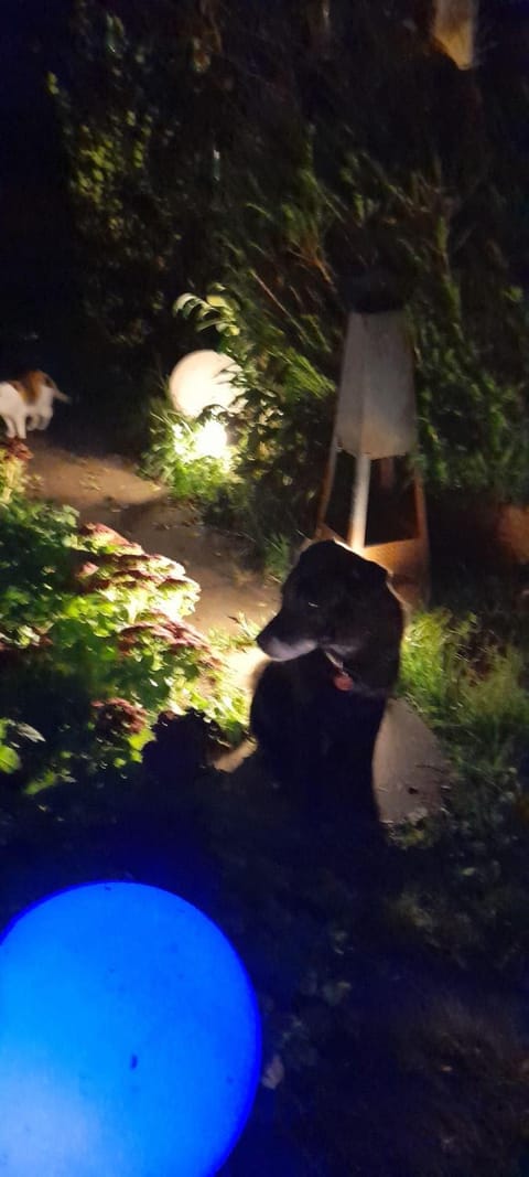 Ferienwohnungen-Willrich-Ferienwohnung-2 Apartment in Rhineland-Palatinate