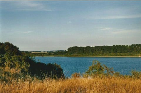 Ferienhaus-Spatzenvilla House in Lubeck